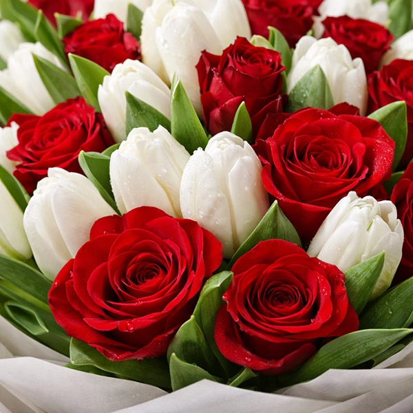 Подари ей весну - букет из белых тюльпанов и красных роз